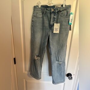 NWT / COSMIC BLUE LOVE / BRIELLE / HIGH RISE CAPRI JEAN / INDIGO / SIZE 29
